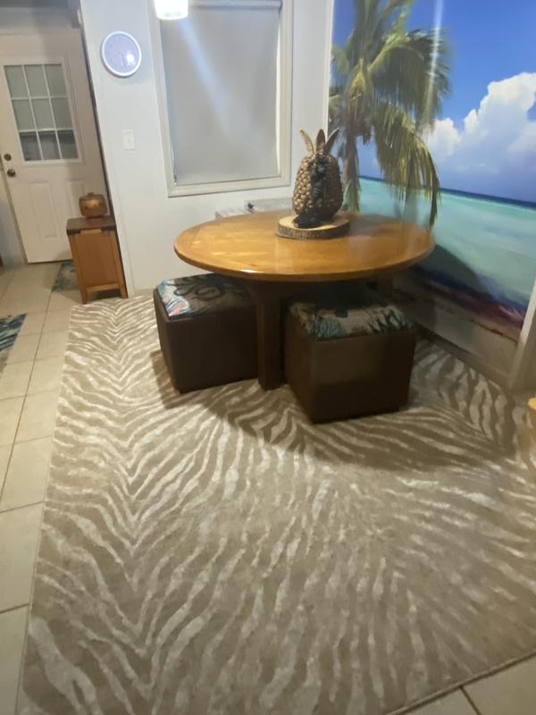 Customer photo for review titled "Finsbury 7x10 rug"