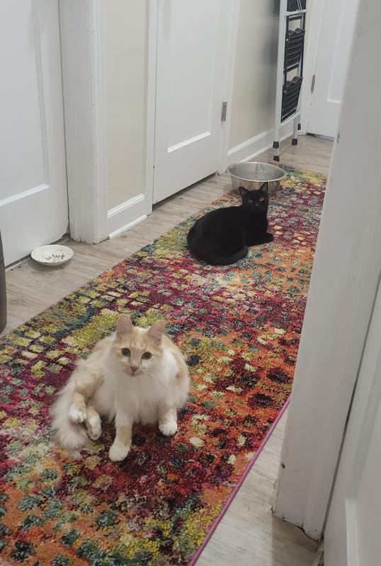 Customer photo for review titled "Beautiful and great quality"