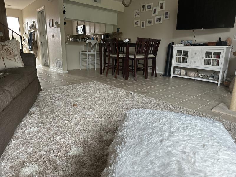 Customer photo for review titled "Beautiful beige and ivory shag rug"