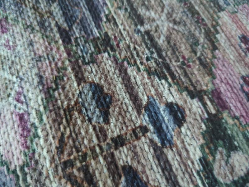 Customer photo for review titled "Durable and cute"