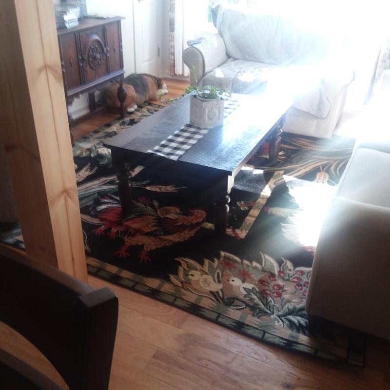 Customer photo for review titled "Great Rug!"