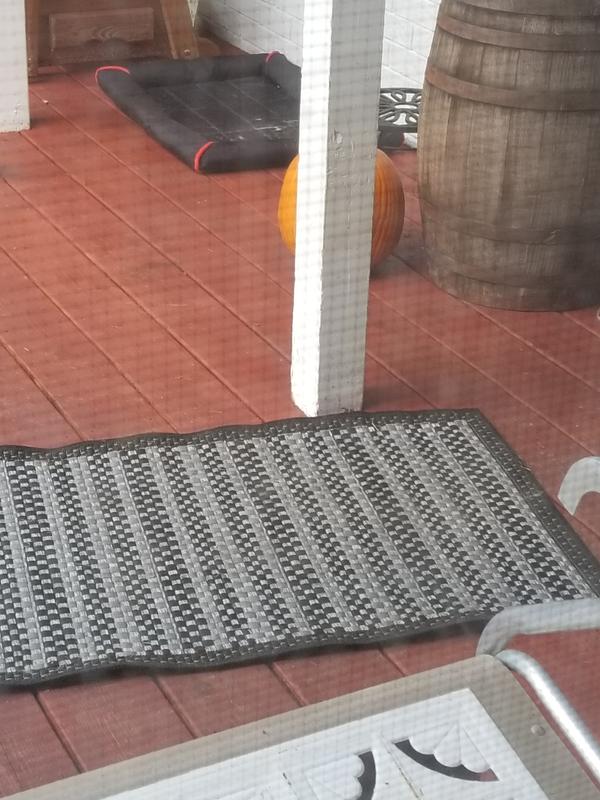 Customer photo for review titled "Great runner"