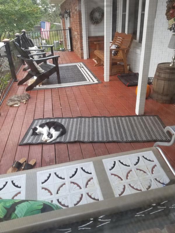 Customer photo for review titled "Great runner"