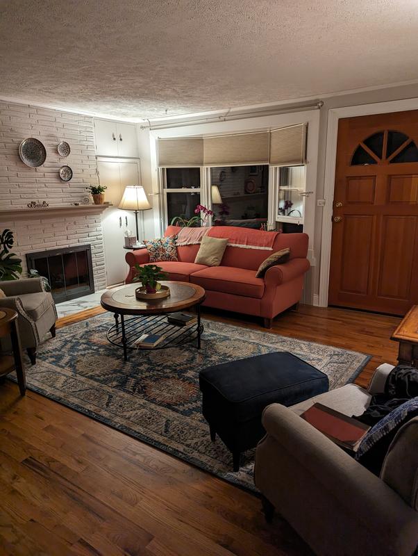 Customer photo for review titled "Great rug"