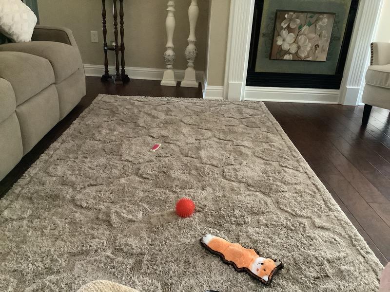 Customer photo for review titled "Love this rug"
