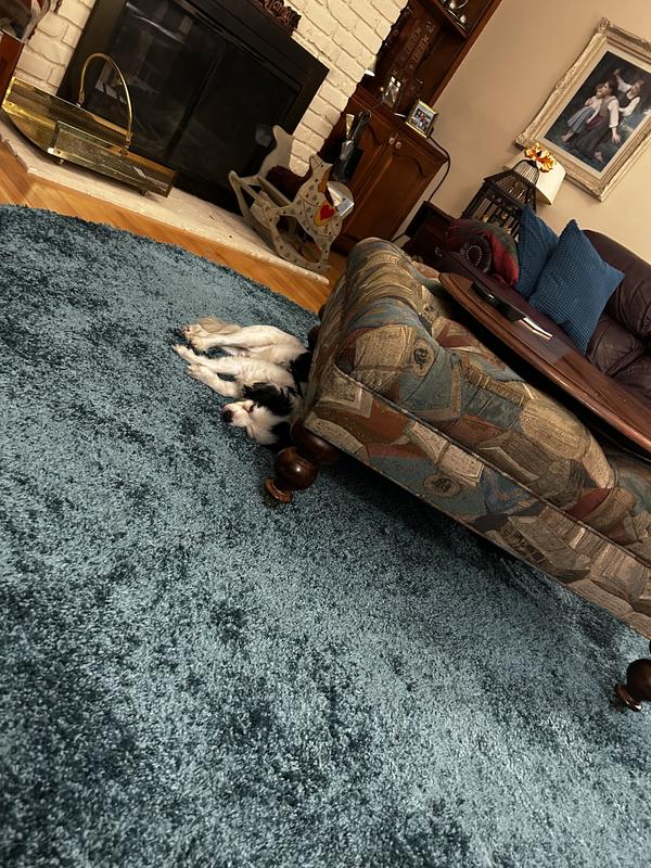 Customer photo for review titled "I didn’t have to cut it fit to size & shape."