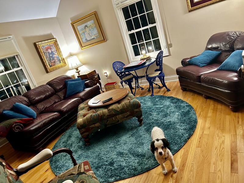 Customer photo for review titled "Soft even the dog loves it!"