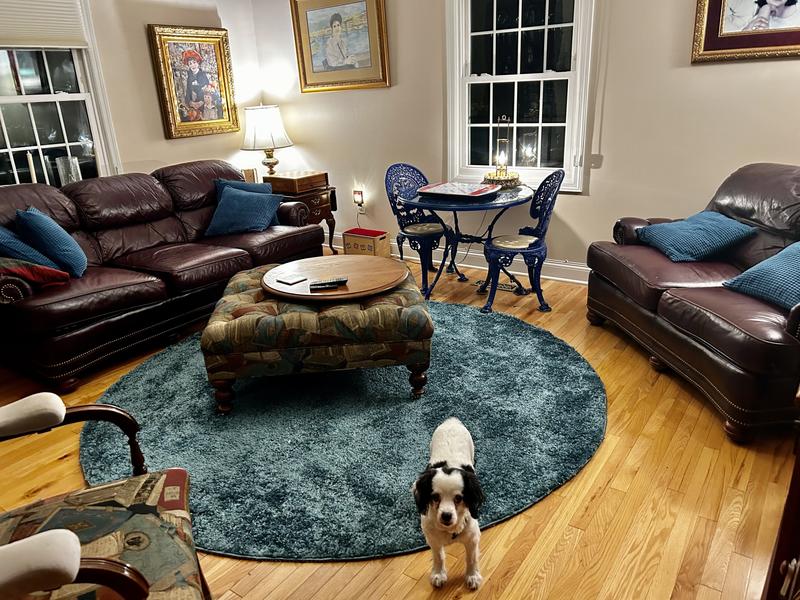 Customer photo for review titled "Soft even the dog loves it!"