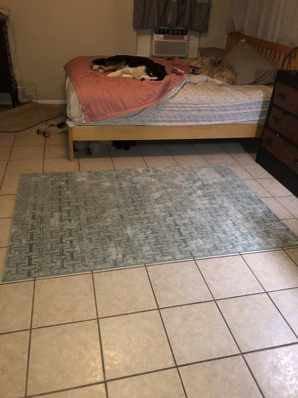 Customer photo for review titled "Grrrreat buy!"