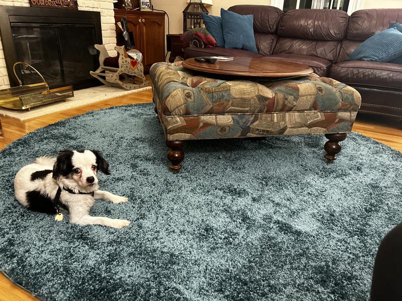 Customer photo for review titled "Love it!  Straightened out into shape. Comfy!"