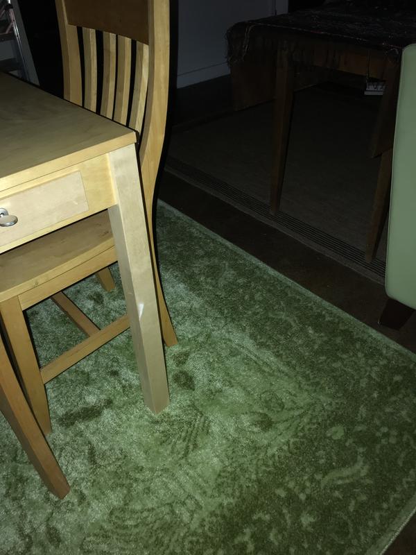 Customer photo for review titled "Beautiful rug. Lovely design subtle color"