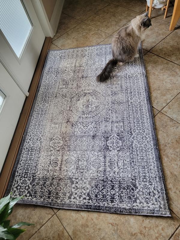 Customer photo for review titled "Absolutely love this rug."