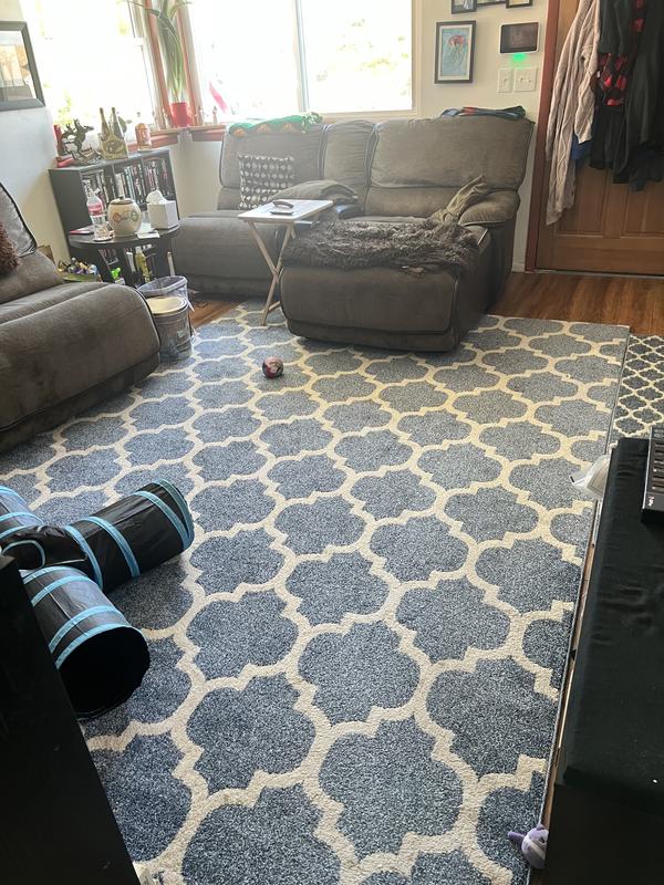 Customer photo for review titled "Spring"