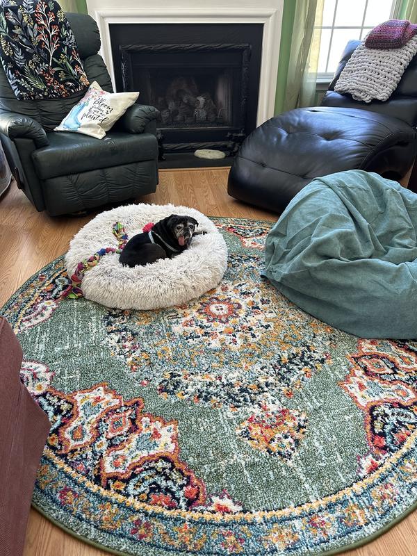 Customer photo for review titled "Eloise my pup loves these rugs❤️"