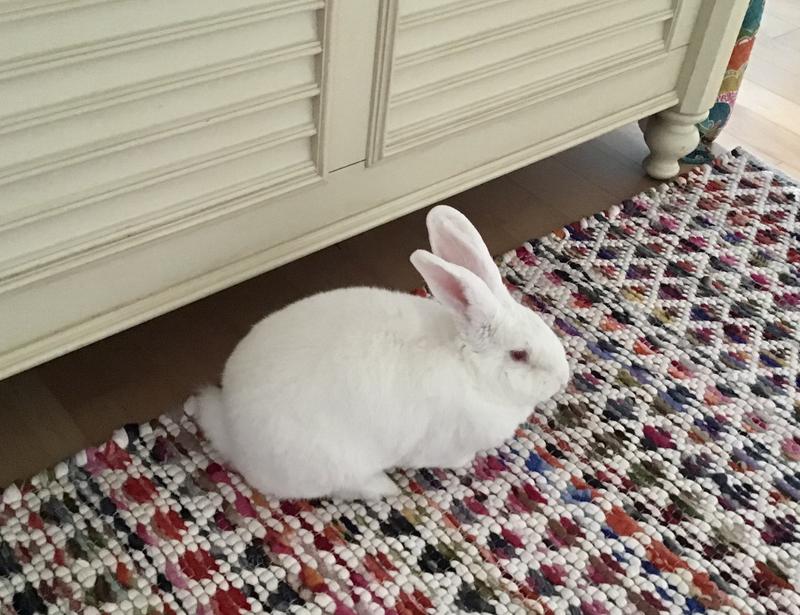 Customer photo for review titled "Diamond Deal!"