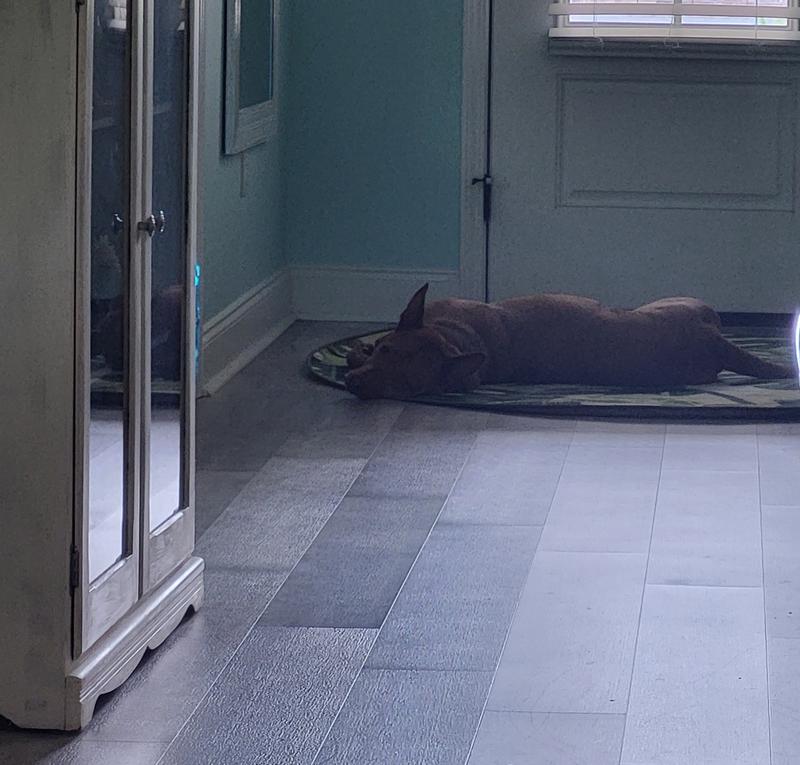 Customer photo for review titled "Inside perfect!"