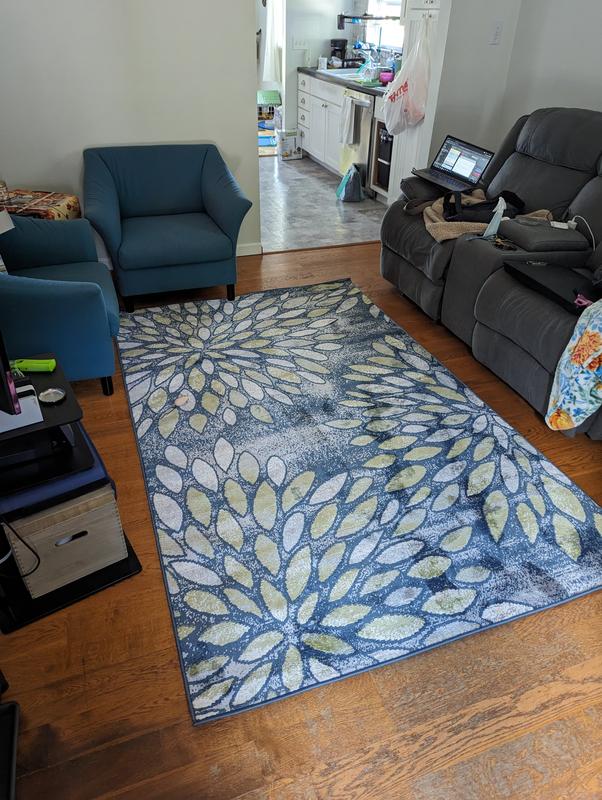 Customer photo for review titled "Decent rug little expensive for what you get"