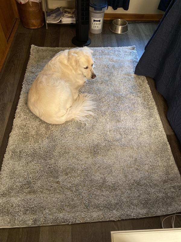 Customer photo for review titled "Super soft carpet"