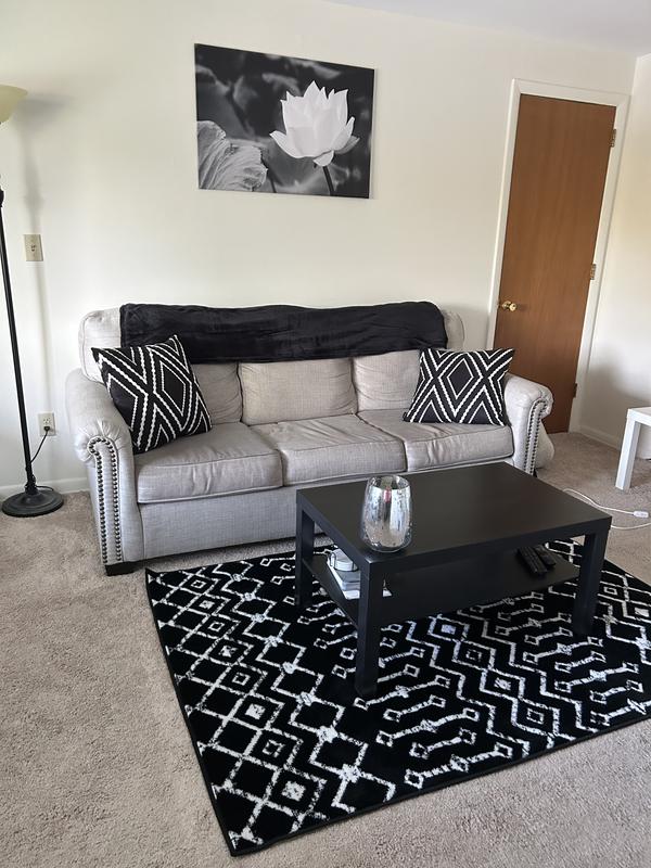 Customer photo for review titled "Top notch rug!!"