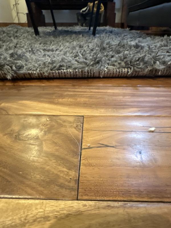 Customer photo for review titled "Expensive and meh quality"