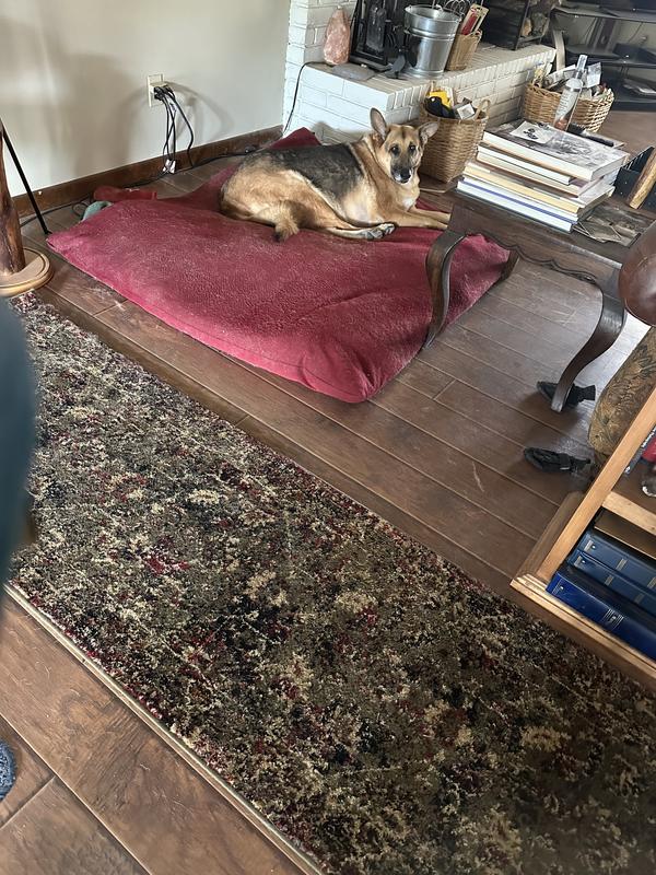 Customer photo for review titled "Just Right"