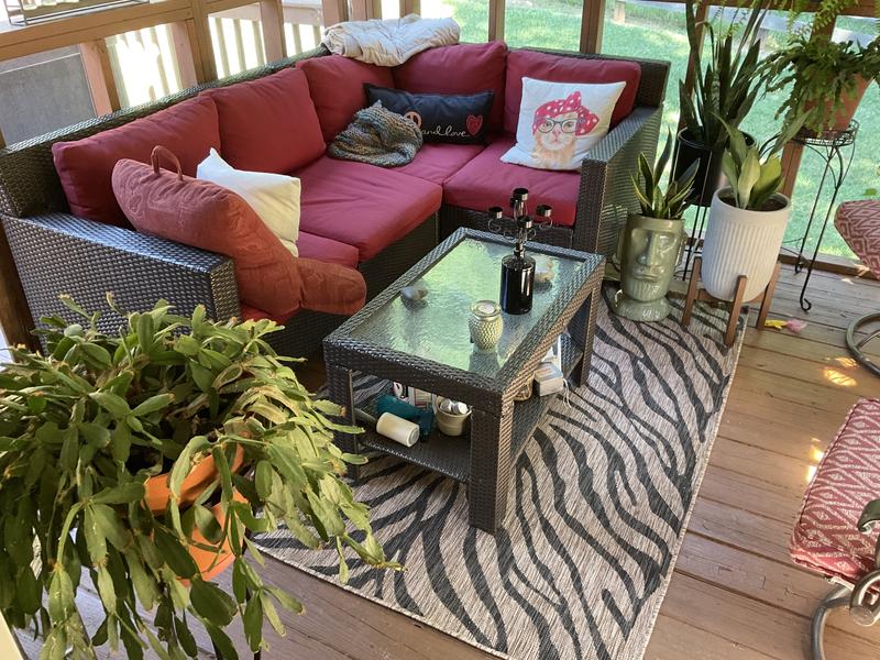 Customer photo for review titled "Nice outdoor rug"