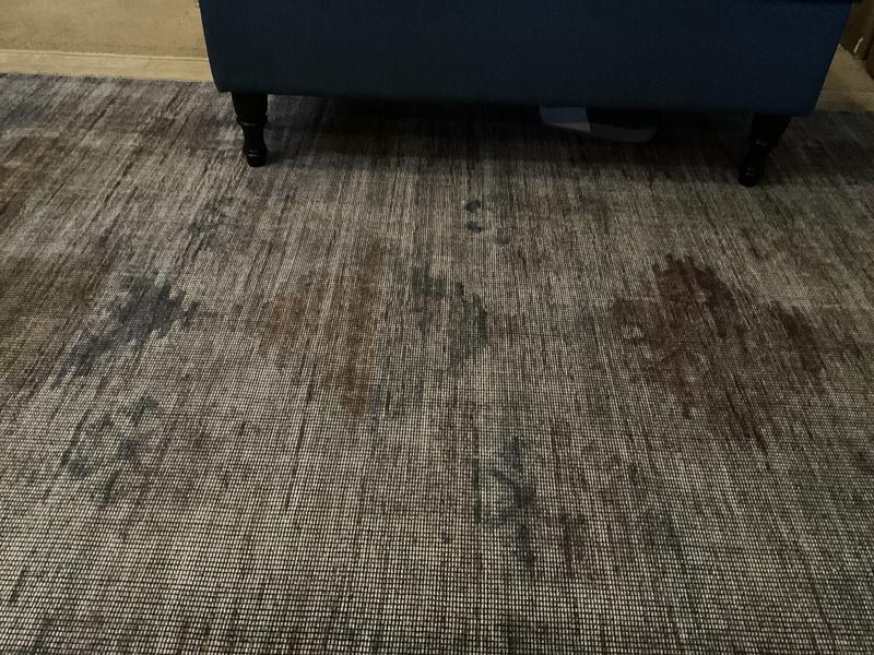 Customer photo for review titled "Exceeded my expectations!"