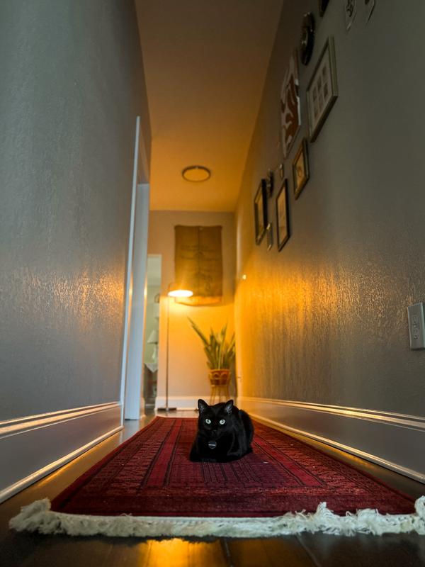 Customer photo for review titled "Exceeded Expectations"