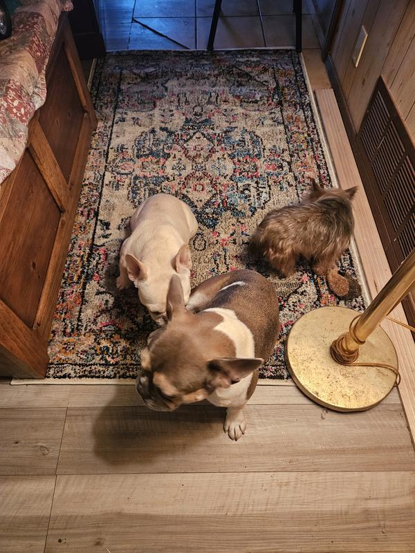 Customer photo for review titled "Eeg"