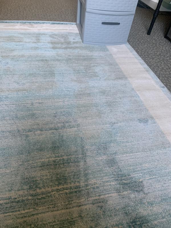 Customer photo for review titled "4x6 rug turquoise with white border"