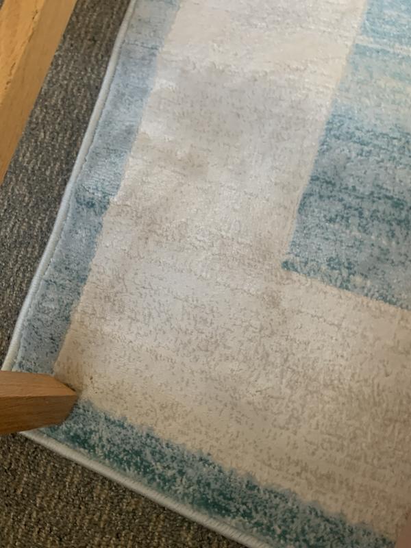Customer photo for review titled "4x6 rug turquoise with white border"