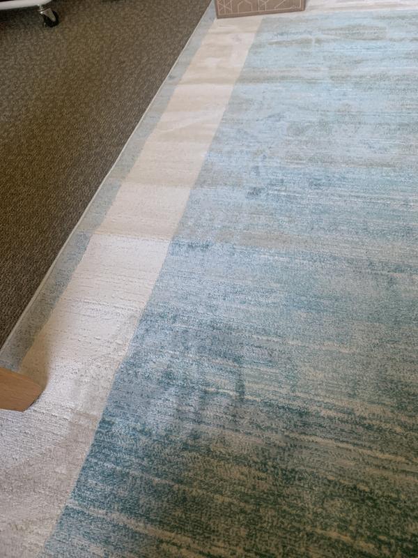 Customer photo for review titled "4x6 rug turquoise with white border"
