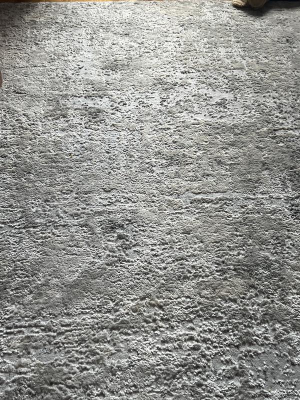 Customer photo for review titled "Nice grey are rug"