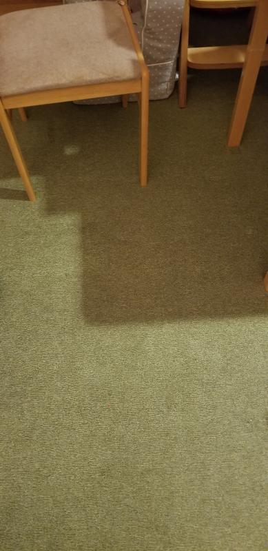 Customer photo for review titled "Overall good rug"