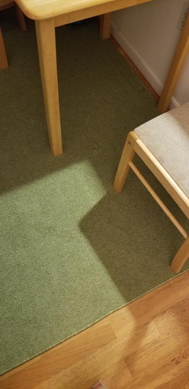 Customer photo for review titled "Overall good rug"