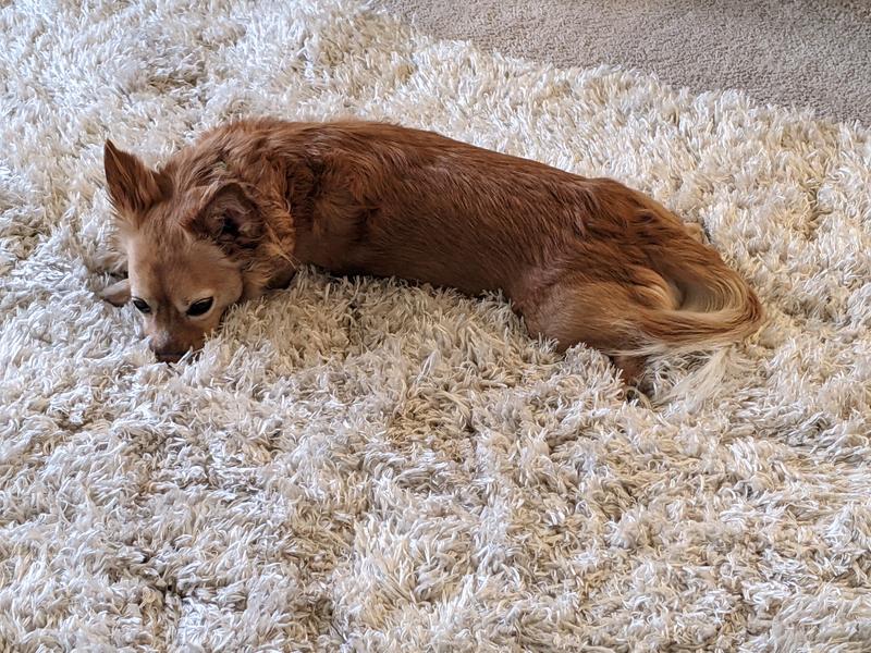 Customer photo for review titled "Gorgeous!"