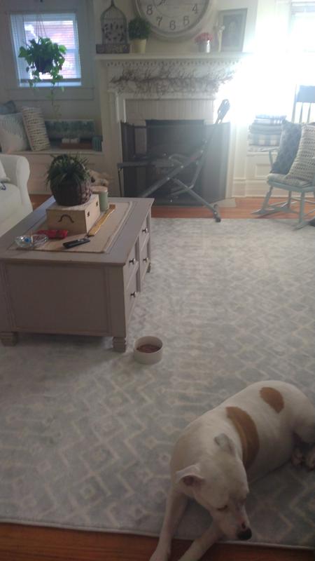 Customer photo for review titled "Kasbah trellis area rug"