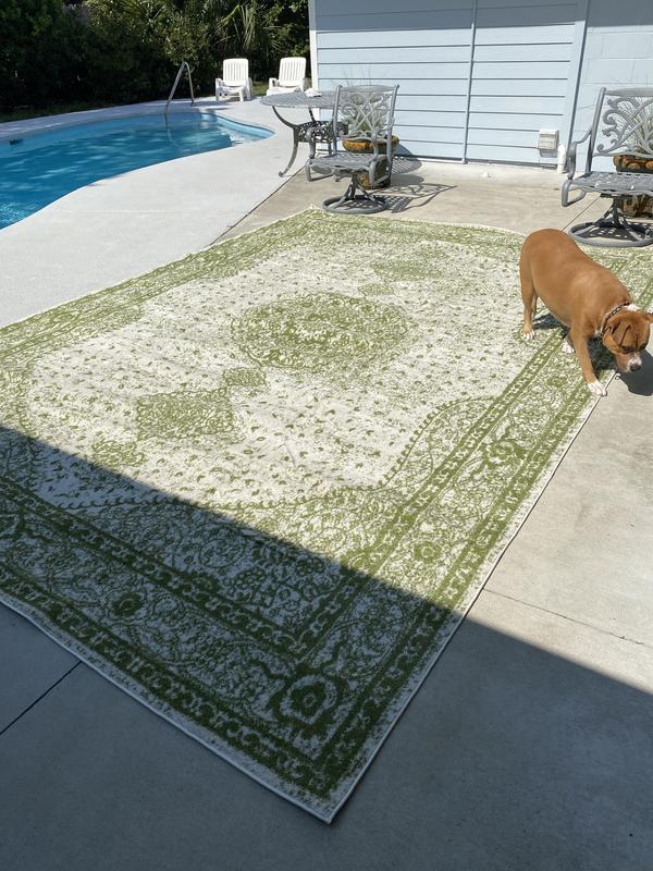 Customer photo for review titled "10x14 green dover rug"