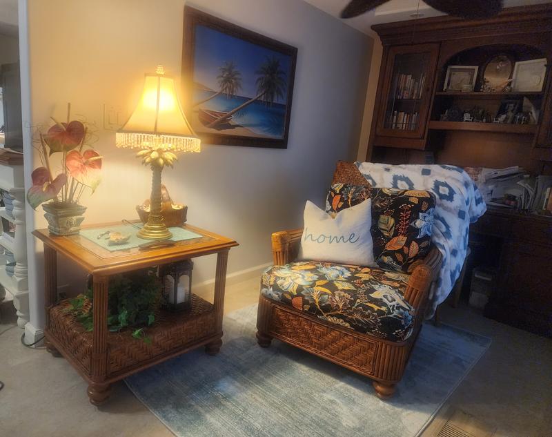 Customer photo for review titled "Uptown Madison Ave area rugs"