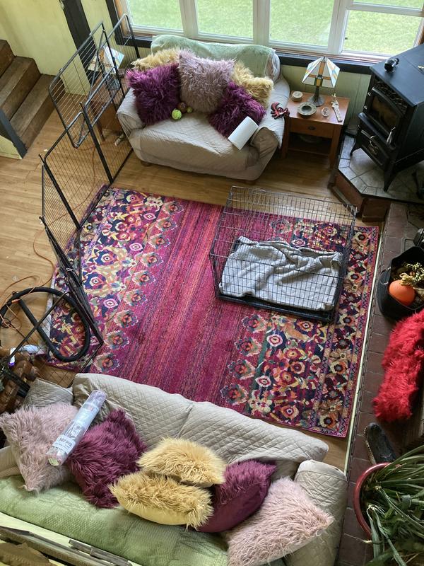 Customer photo for review titled "Brightens my room!"