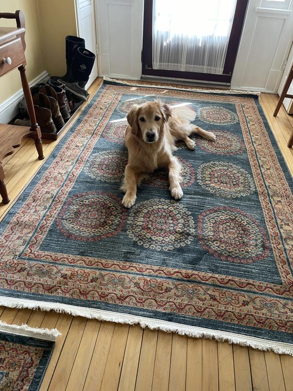 Customer photo for review titled "Love this carpet!"