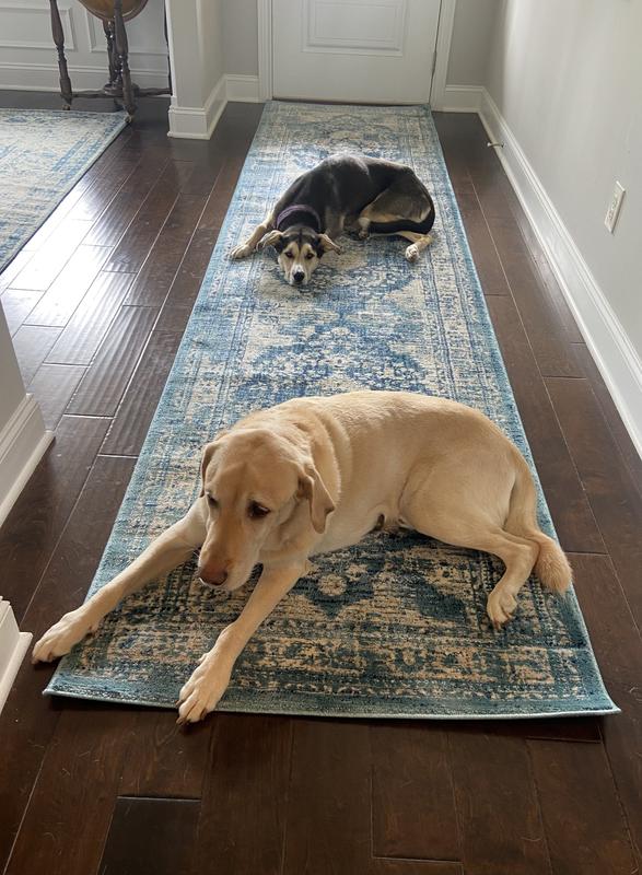 Customer photo for review titled "Recommend highly"