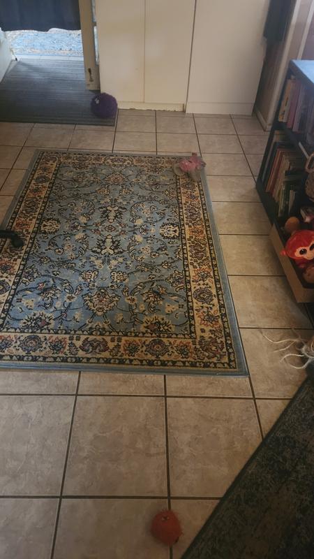 Customer photo for review titled "Great rug"