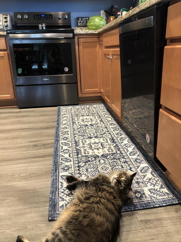 Customer photo for review titled "Colorful and useful in kitchen. Perfect for pets."