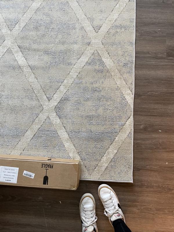 Customer photo for review titled "Pretty rug works for my office"