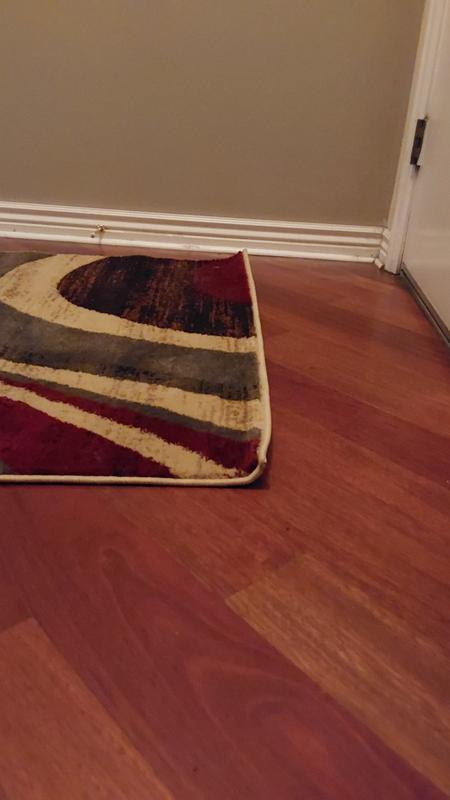 Customer photo for review titled "Curly rug"
