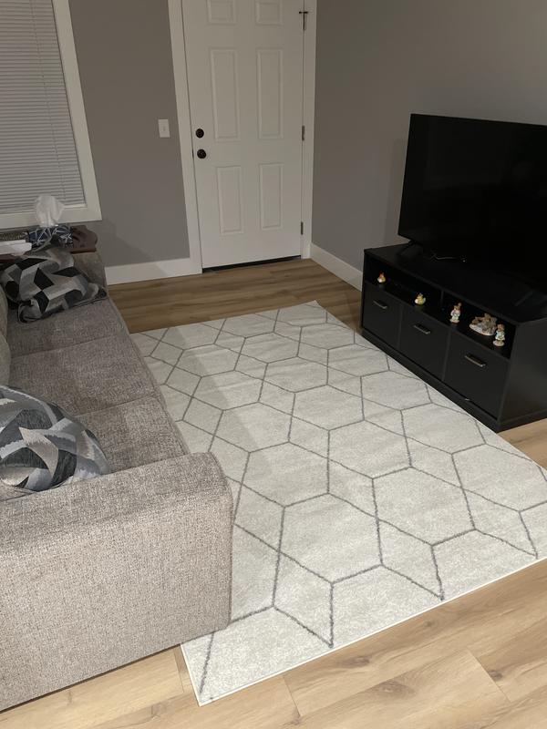 Customer photo for review titled "Cute Versatile Rug"