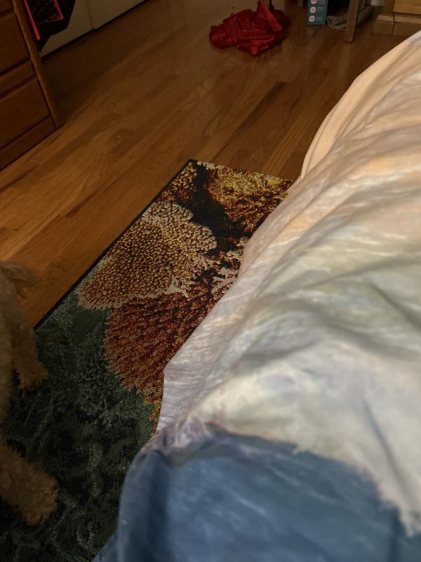 Customer photo for review titled "Ocean runner"