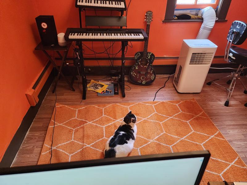 Customer photo for review titled "Regret: No more in this life"