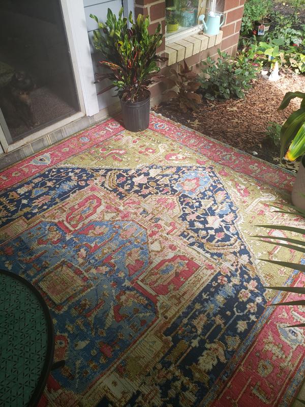 Customer photo for review titled "A happy find!"